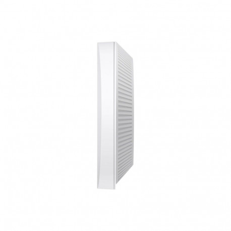Festa F61, Access Point
