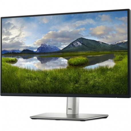 Dell P2225H - 21.5 -  black/silver, FullHD, IPS, USB-C, 100Hz panel
