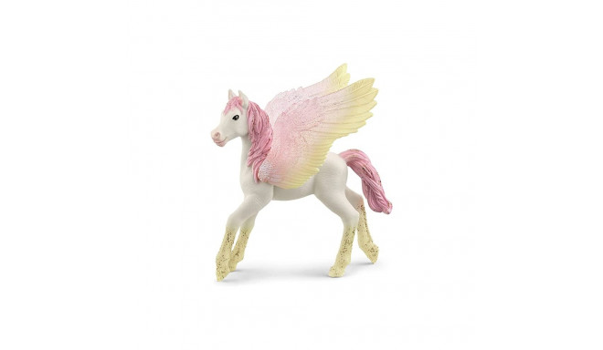 Bayala vars Pegasus