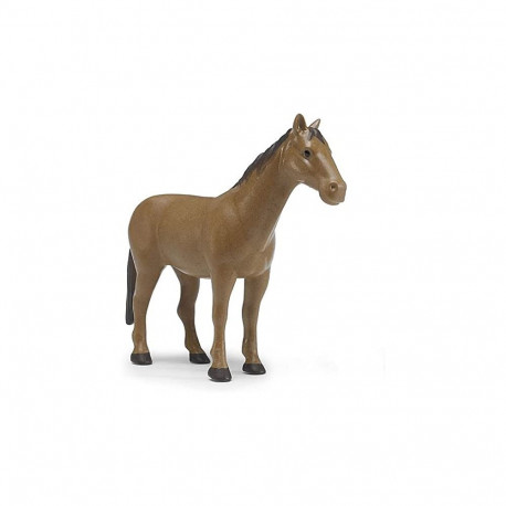Pferd, pruun