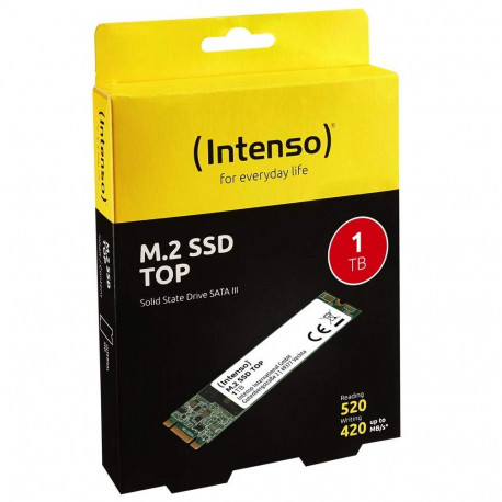 TOP 1 TB (SATA 6 Gb/s, M.2 2280)