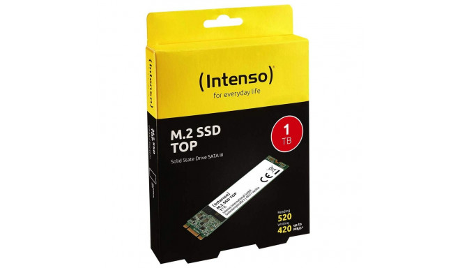 TOP 1 TB (SATA 6 Gb/s, M.2 2280)