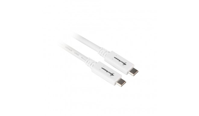USB 3.2 Gen 2 Kabel, USB-C Stecker > USB-C Stecker (weiß, 0,5 Meter)