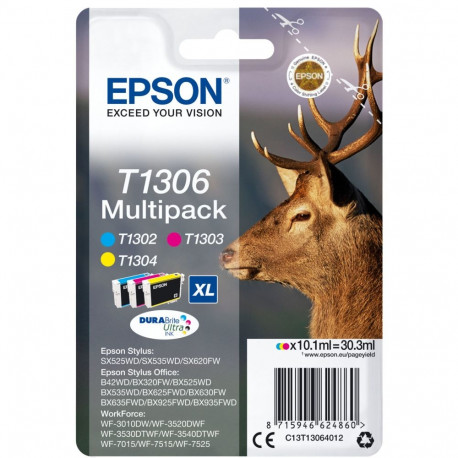 Epson tindikassettide multipakk T1306 (C13T13064012)