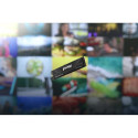 SSD|KINGSTON|FURY|1TB|M.2|PCIe Gen5|NVMe|3D TLC|Write speed 11000 MBytes/sec|Read speed 14200 MBytes