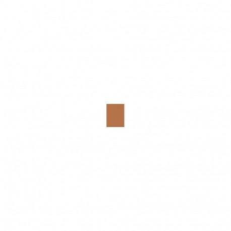 Shiseido Synchro Skin Radiant Lifting (30ml) (460 Topaz)