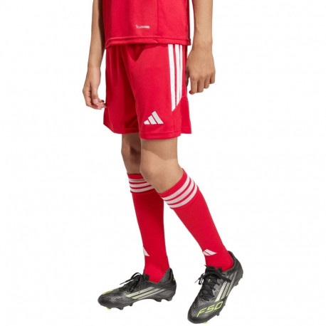 Adidas laste lühikesed püksid Tiro 26 League KA8817 116cm, punane