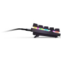 Mänguriklaviatuur SteelSeries Apex 9 Mini SWE