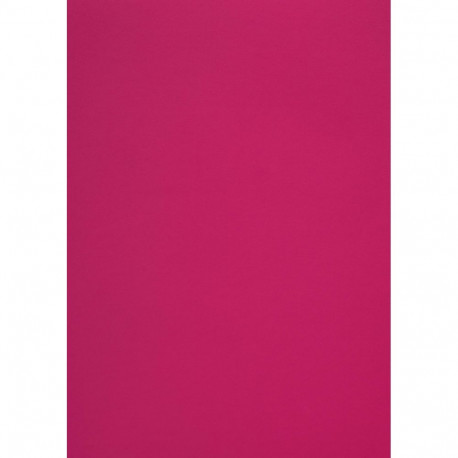 Disainpaber Curious Skin Pink A4 270g 10 lehte pakis