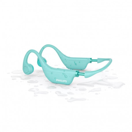 Philips TAK4607GR/00 Wireless headphones