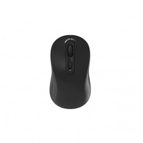 RoGer P273 Rechargeable Wireless Mouse 1600 DPI / Type-C / Black