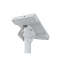 Multibrackets MB-2494 TV Ceiling mount up to 55" / 70kg