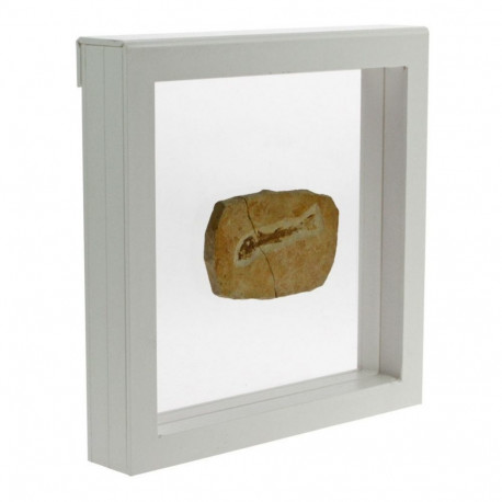 SAFE 3D esitlusraam 180×180 - valge