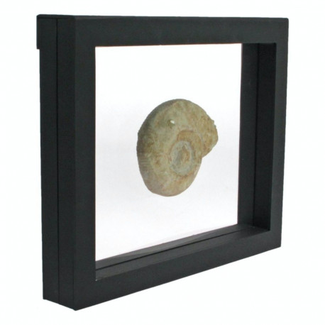 SAFE 3D esitlusraam 270×225 - must