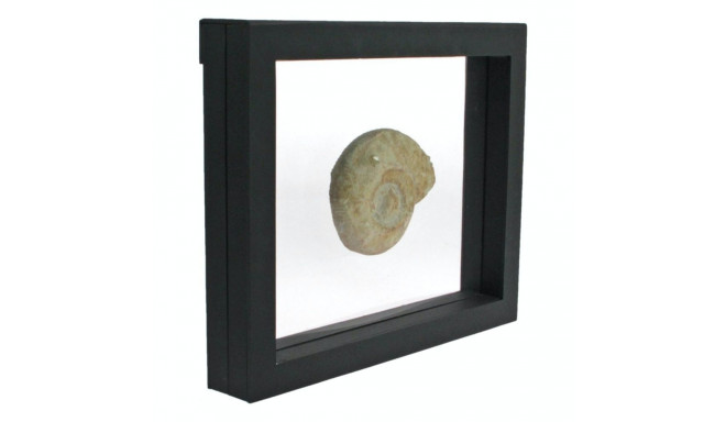 SAFE 3D esitlusraam 270×225 - must