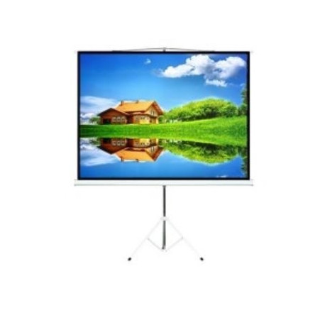 Projector screen 100'' / portable/ Fixed / 4:3 200x150