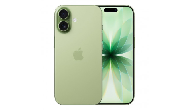 Apple iPhone 17 16 cm (6.3") kahe SIM-iga iOS 26 5G USB Type-C 256 GB salveiroheline