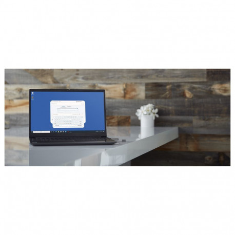 "STICK 32GB Kingston IronKey Encryption retail"