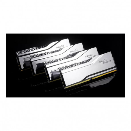 32GB PC 6400 CL30 G.Skill komplekt (2x16GB) TR5NS NEO RGB/AM