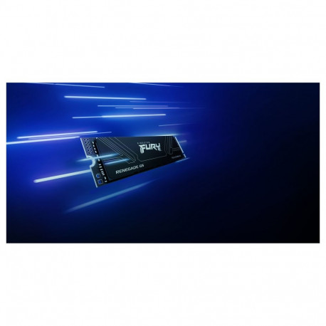 "M.2 2TB FURY RENEGADE G5 2280"