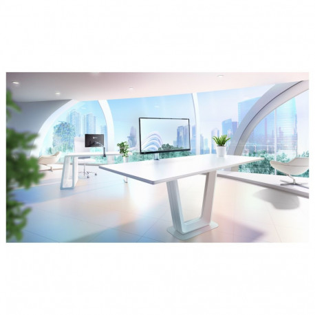 "EIZO 60.5cm (23.8"") FLT 16:09 2xUSB-C IPS mit Schwenkarm"