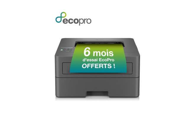 "Brother HL-L2400DWE sw-Laser"