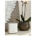 "D-Link Wireless COVR-X1863 Router 3-Set"