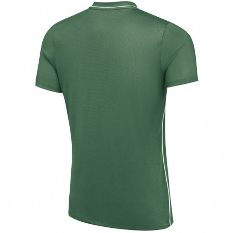 Nike meeste särk Dri-Fit Park 26 SS Top HM7127 302 S, roheline