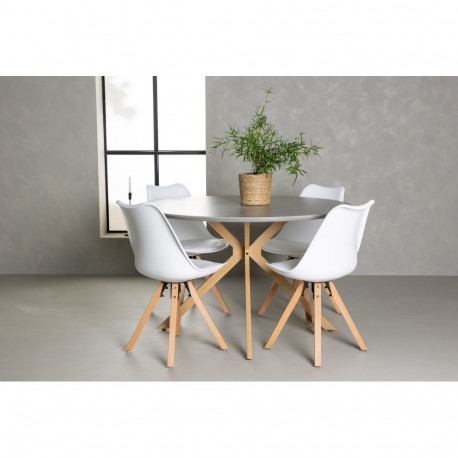 Söögilaua komplekt PIAZZA+ toolid ZENO 4tk, valge/puit