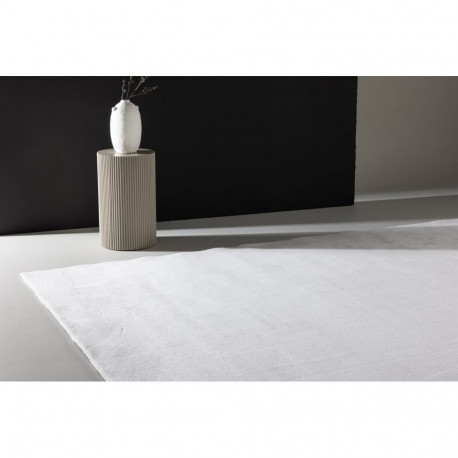 Vaip NIXIE 170x240cm, valge