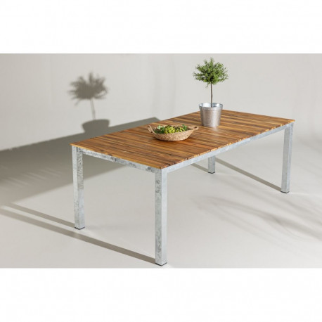 Aialaud ZENIA 200x100, hall/naturaalne