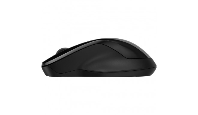 HP 250 kahepoolne hiir