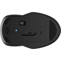 HP 250 Dual Mouse