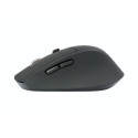"CONCEPTRONIC Maus Wireless BT5.2/6Btns ERGO schwarz"