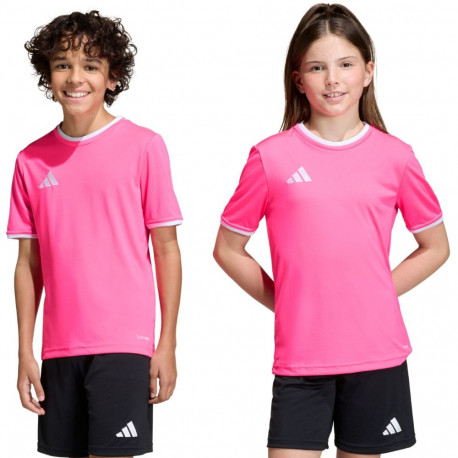 adidas laste särk Entrada 26 Jersey KE9846 128cm, roosa