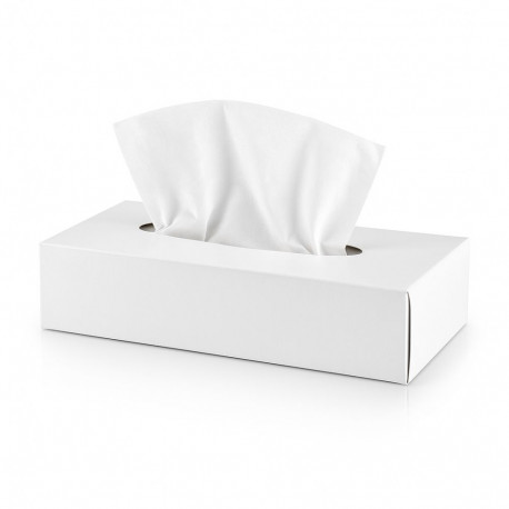 Cosmetic tissues 2-ply 21x20cm 100pcs