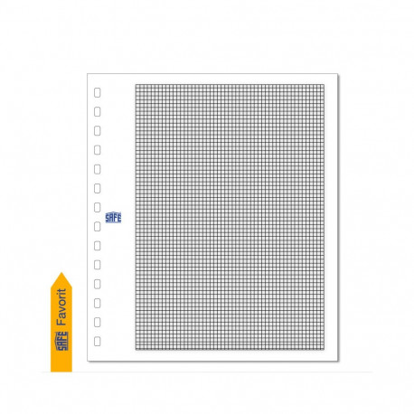 SAFE Kartong-Blanko vaheleht raami ja ruudustikuga - valge