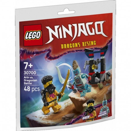 Ninjago Blocks 30700 Arina`s Battle with Dragon