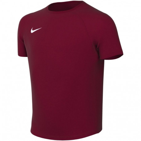 Nike laste särk Dri-Fit Park VIII HV8182 677 M, bordoopunane