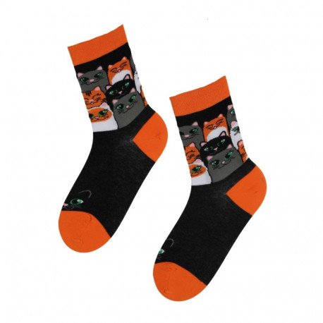 SOKISAHTEL CATS PARTY lõbusad kirjud kassisokid 446, 452