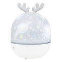 Levenhuk  Star Sky P2 Planetarium