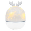 Levenhuk  Star Sky P2 Planetarium