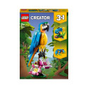 EXOTIC PARROT 31136