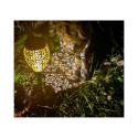 SOLAR LANTERN STAKE LIGHT 100971