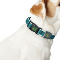 Dog collar Hunter Basic Thread Lime 20