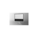 Celexon Economy projection screen 1:1