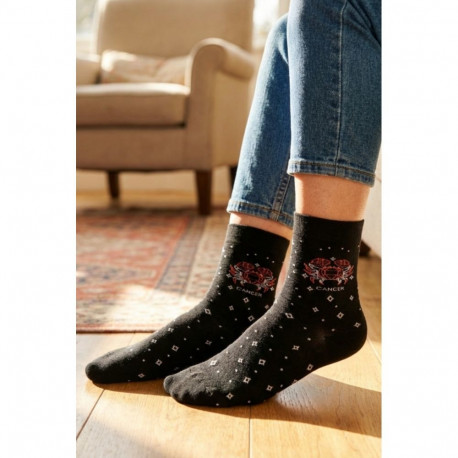 SOKISAHTEL VÄHK 2026 tähtkuju sokid 444, 684