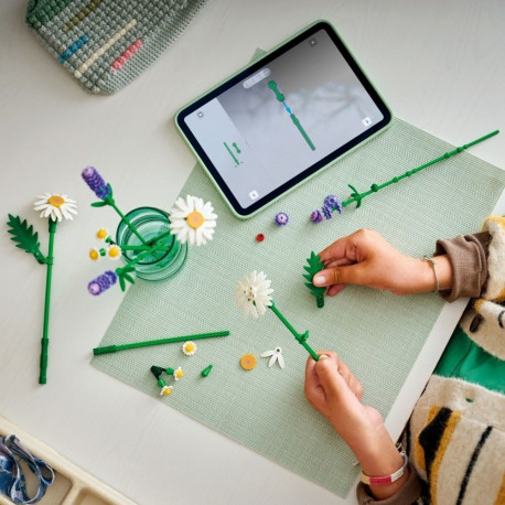 Klocki botanicals 11508 stokrotki