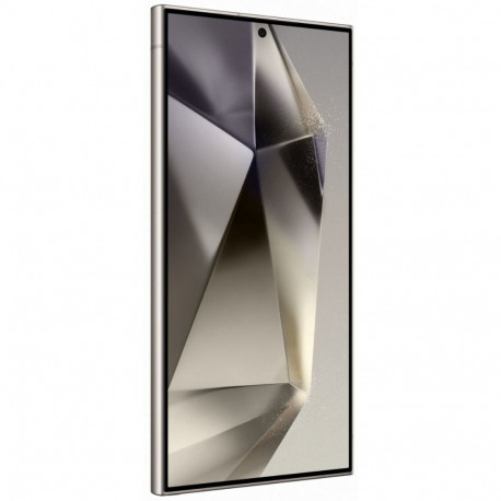 Nutitelefon Galaxy S24 Ultra 5G 256GB, hall - uue ringi, B