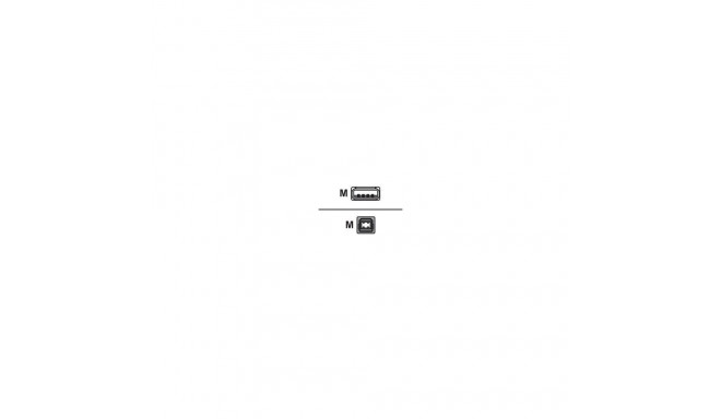 USB 2.0 Kabel, USB-A Stecker > USB-B Stecker (schwarz, 2,0 Meter)